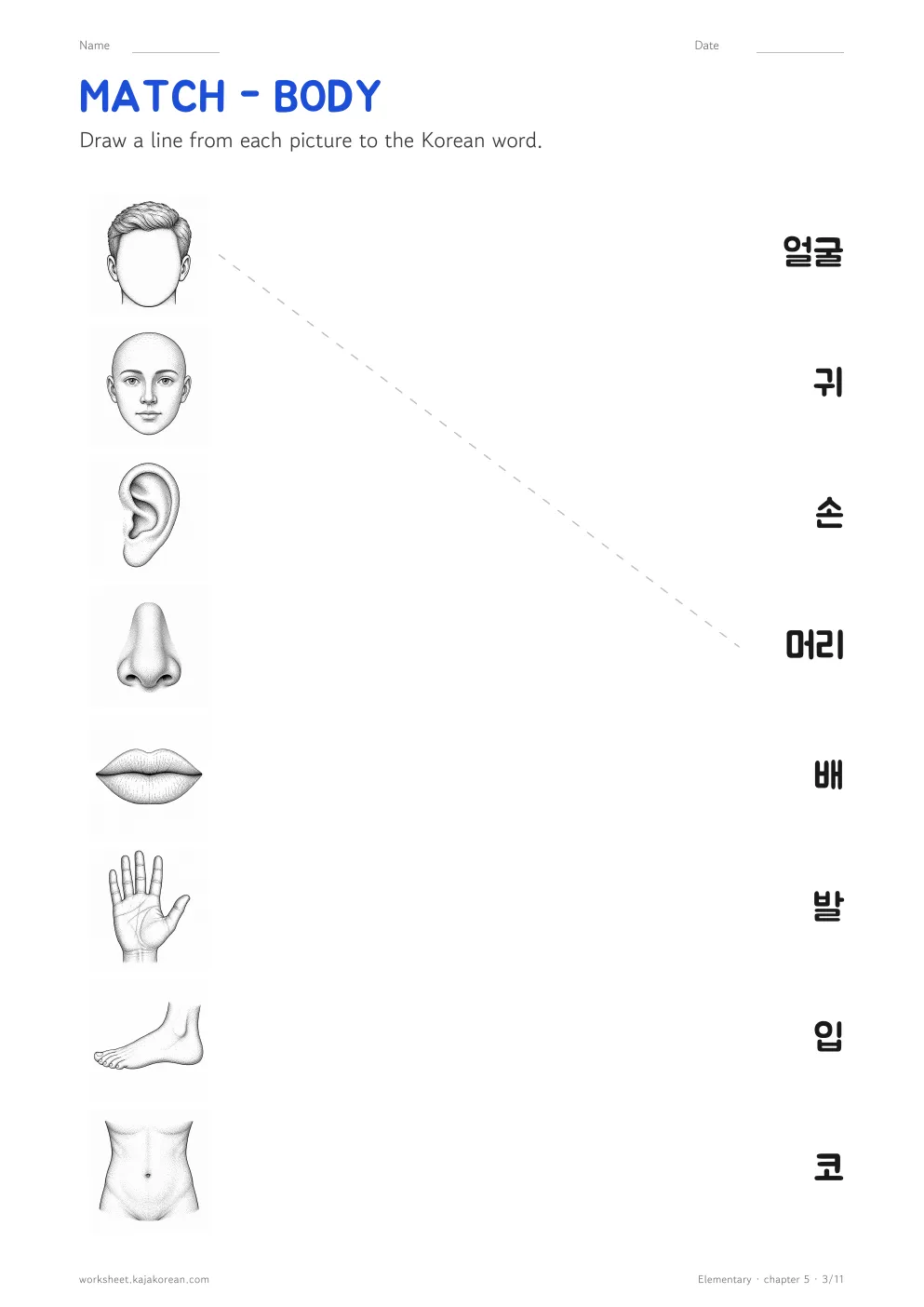 Body and Health worksheet